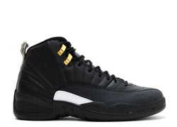 Air Jordan Retro 12 Master